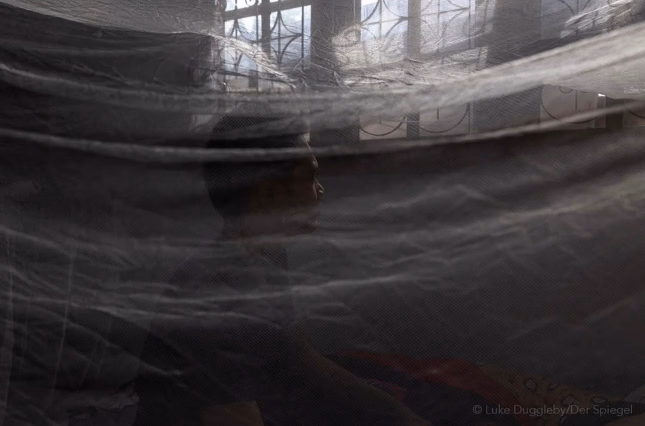 The Voices of Survivors Part II